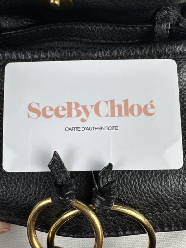 2026-01-14 10.16.13 See by Chloé Mini Polly Black Leather Shoulder Bag Gold Rings and Tassels