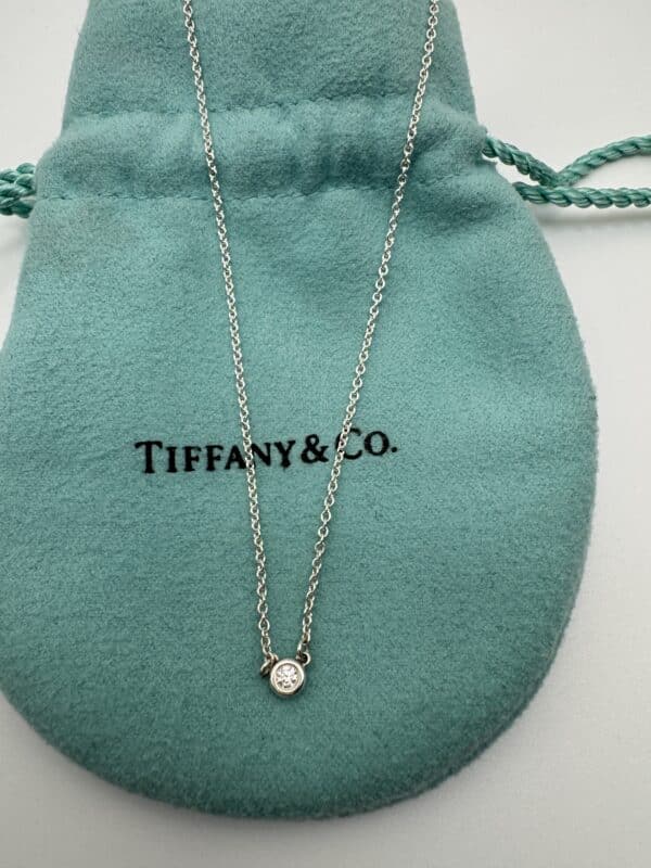 IMG_6084 Tiffany & Co. Elsa Peretti Diamonds by the Yard .03 CT Sterling Silver Necklace