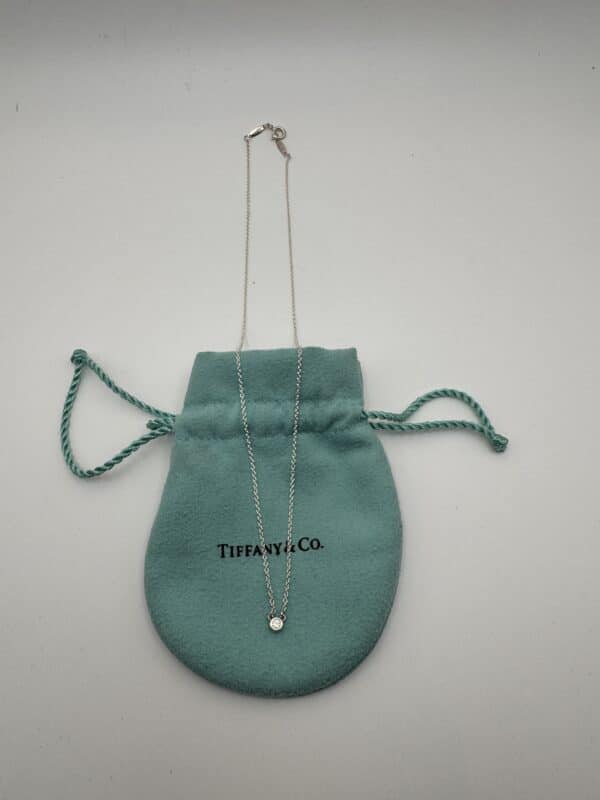 IMG_6085 Tiffany & Co. Elsa Peretti Diamonds by the Yard .03 CT Sterling Silver Necklace