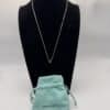 IMG_6086 Tiffany & Co. Elsa Peretti Diamonds by the Yard .03 CT Sterling Silver Necklace