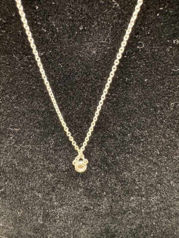 IMG_6088 Tiffany & Co. Elsa Peretti Diamonds by the Yard .03 CT Sterling Silver Necklace