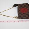 IMG_9121 Louis Vuitton Damier Ebene Trunks & Bags Mini Pochette Accessoires – Limited Edition
