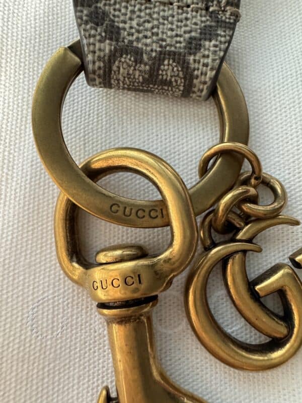 IMG_9207 Gucci Ophidia GG Supreme Bag charm PVC