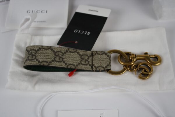 IMG_9233 Gucci Ophidia GG Supreme Bag charm PVC