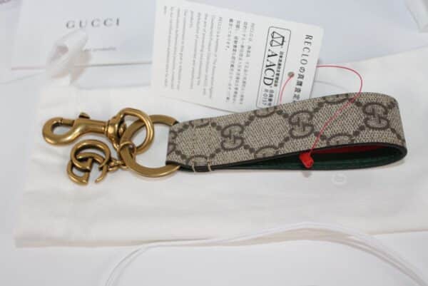IMG_9235 Gucci Ophidia GG Supreme Bag charm PVC