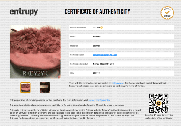 Screenshot 2026-08-12 184125 Rare Burberry Prorsum Pink Shearling & Leather Shoulder Bag