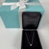 IMG_3643 Tiffany & Co. Elsa Peretti Diamonds by the Yard Platinum Necklace with Box