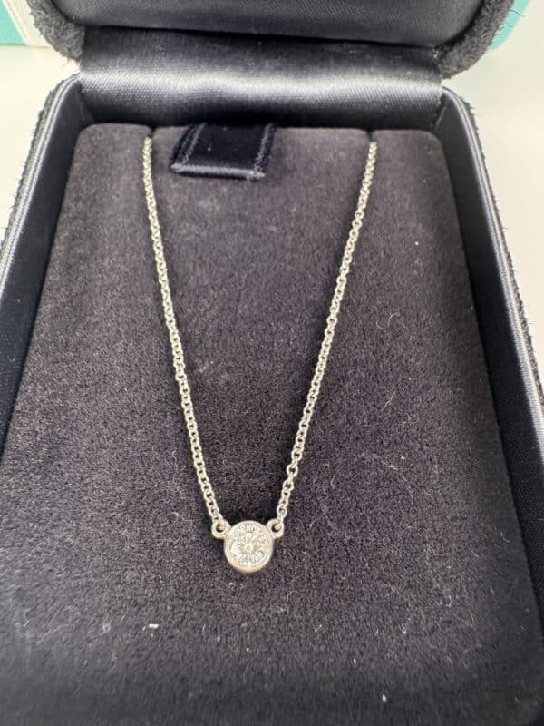 IMG_3644 Tiffany & Co. Elsa Peretti Diamonds by the Yard Platinum Necklace with Box