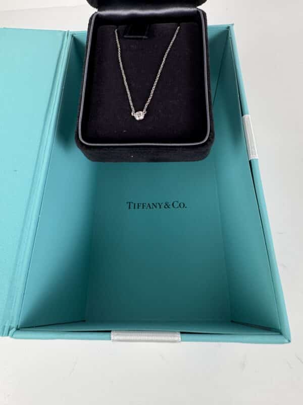 IMG_3645 Tiffany & Co. Elsa Peretti Diamonds by the Yard Platinum Necklace with Box