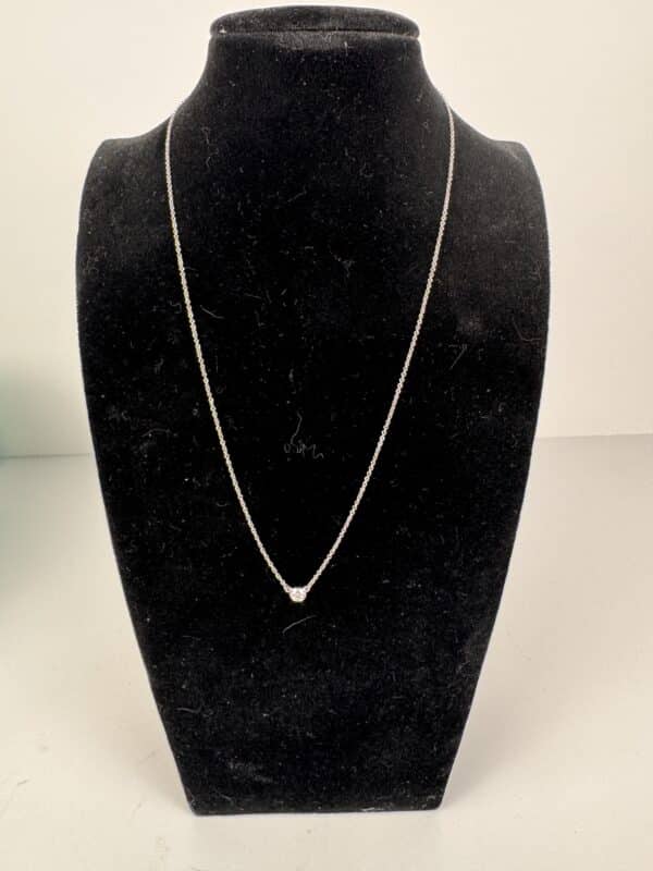 IMG_3646 Tiffany & Co. Elsa Peretti Diamonds by the Yard Platinum Necklace with Box
