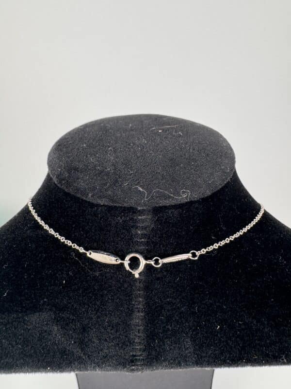 IMG_3647 Tiffany & Co. Elsa Peretti Diamonds by the Yard Platinum Necklace with Box