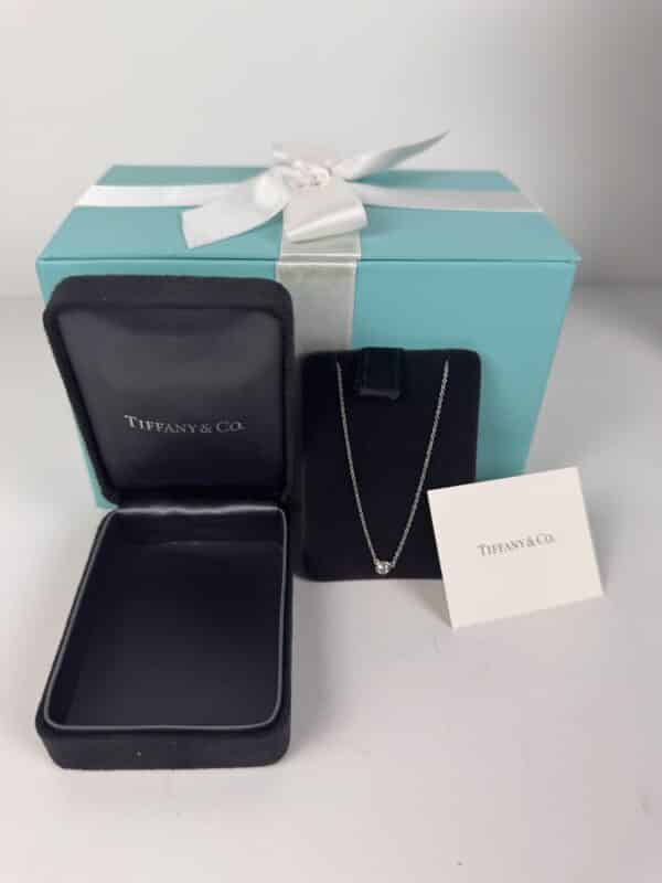 IMG_3648 Tiffany & Co. Elsa Peretti Diamonds by the Yard Platinum Necklace with Box