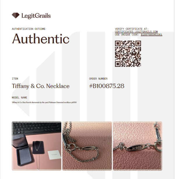 Screenshot 2026-06-25 182436 Tiffany & Co. Elsa Peretti Diamonds by the Yard Platinum Necklace with Box