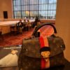 IMG_6631 Louis Vuitton Georges BB M43866 Monogram Red Pink Stripe Satchel