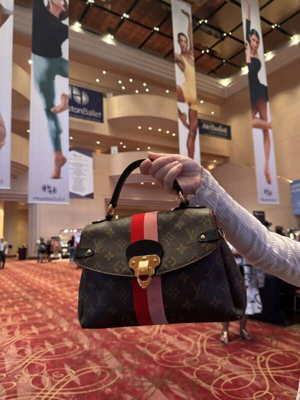 IMG_6632 Louis Vuitton Georges BB M43866 Monogram Red Pink Stripe Satchel