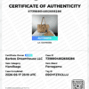 Screenshot 2026-06-25 182937 Salvatore Ferragamo Sookie Leather Shoulder Bag – Bisque / Almond