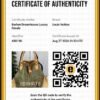Louis Vuitton Grand Sac Noé M40563 Monogram Rayures Bag