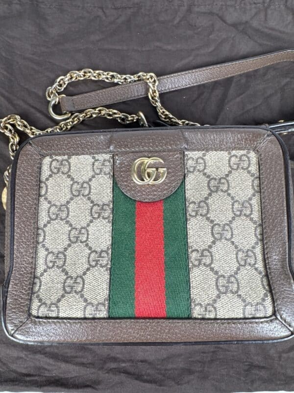 p1-307.jpg Gucci Ophidia Mini Top Handle Bag 696180 GG Supreme Canvas